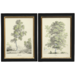 ГРАВЮРА Arbres, АРТИКУЛ CZCT0755-01 ГРАВЮРА Arbres, АРТИКУЛ CZCT0755-01