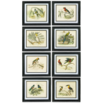 Grv. Oiseaux de Buffon C. Noir, АРТИКУЛ CZCT1010-61 Grv. Oiseaux de Buffon C. Noir, АРТИКУЛ CZCT1010-61